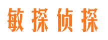 临县敏探私家侦探公司